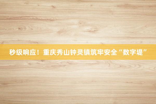 秒级响应！重庆秀山钟灵镇筑牢安全“数字堤”