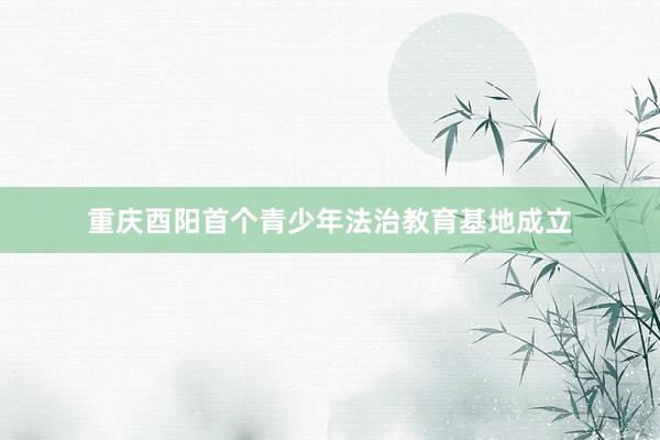 重庆酉阳首个青少年法治教育基地成立